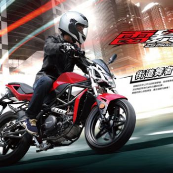 ���� �����ܳ� �ױ�ZS250GS-3